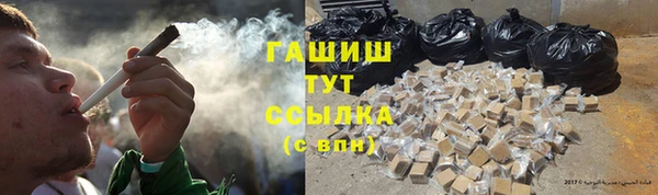 шишки Новодвинск