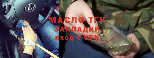 СК Алексин