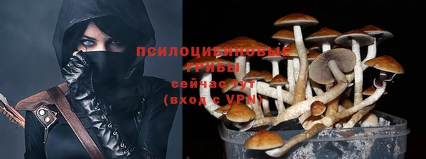 винт Алзамай