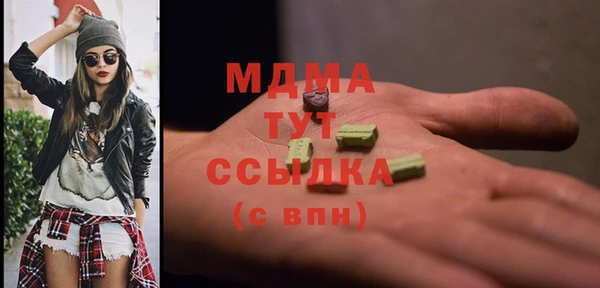 СК Алексин