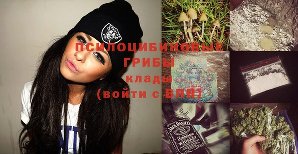винт Алзамай