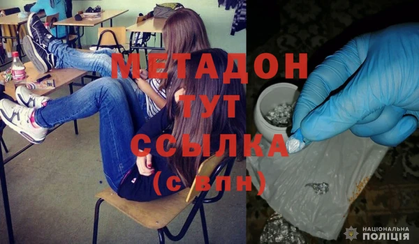 шишки Новодвинск