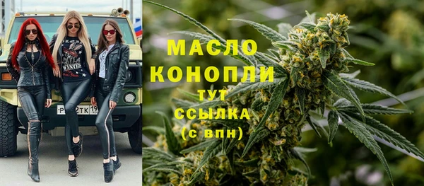 СК Алексин