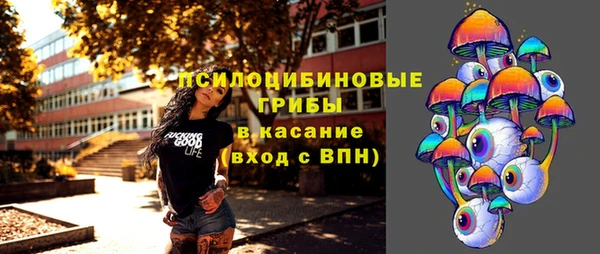 СК Алексин